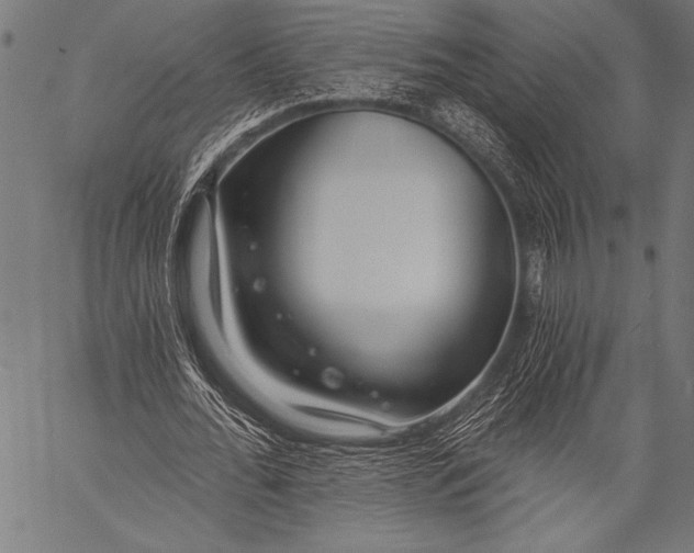 X0000057090676200509301551