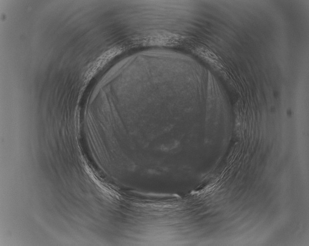 X0000057090678200509301551