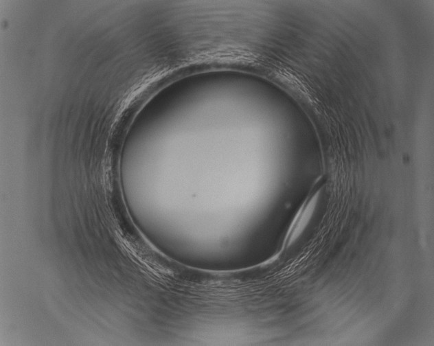 X0000057090680200509301551