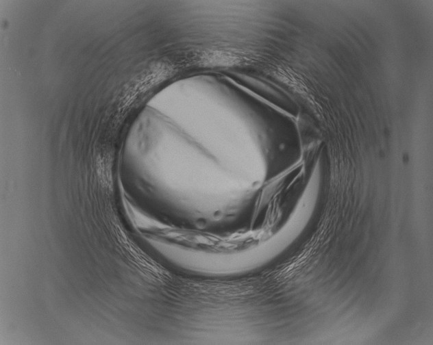 X0000057090681200509301551