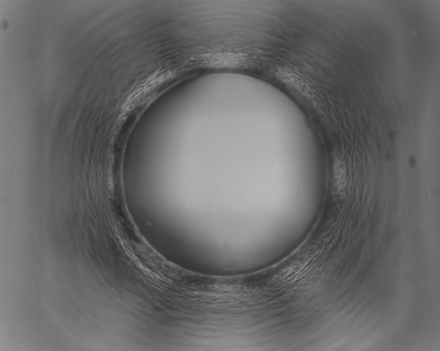 X0000057090682200509301551