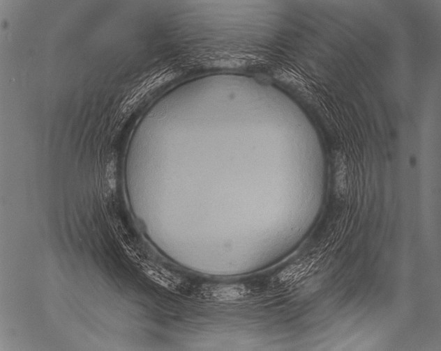 X0000057090683200509301551