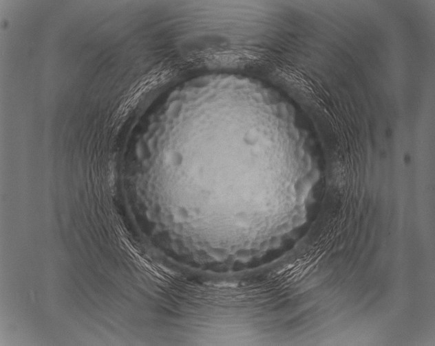 X0000057090687200509301551