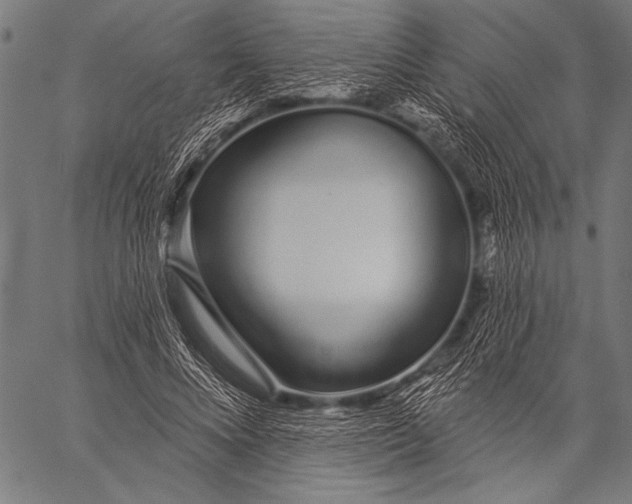 X0000057090688200509301551