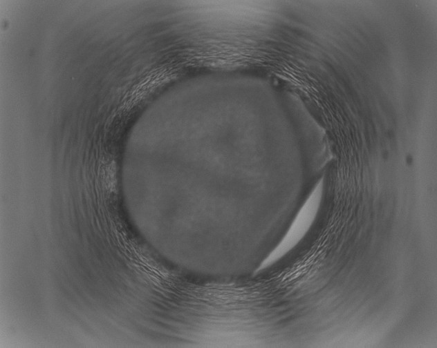 X0000057090689200509301551