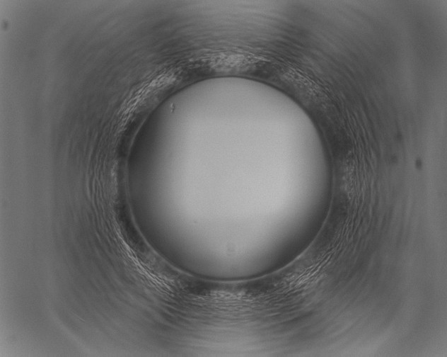 X0000057090690200509301551