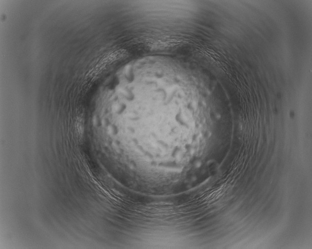 X0000057090691200509301551