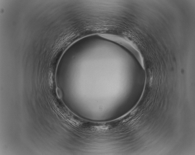 X0000057090692200509301551