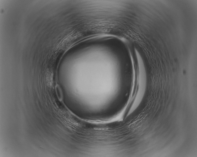 X0000057090693200509301551