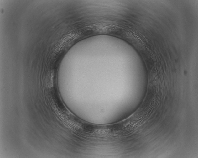 X0000057090694200509301551