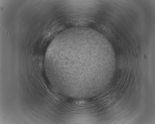 X0000057090695200509301551