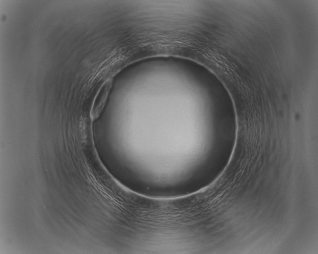 X0000057090696200509301551