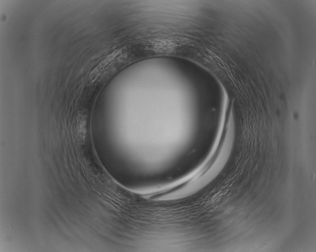 X0000057090697200509301551