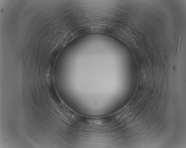 X0000057090698200509301551