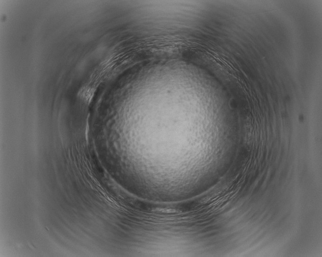 X0000057090699200509301551