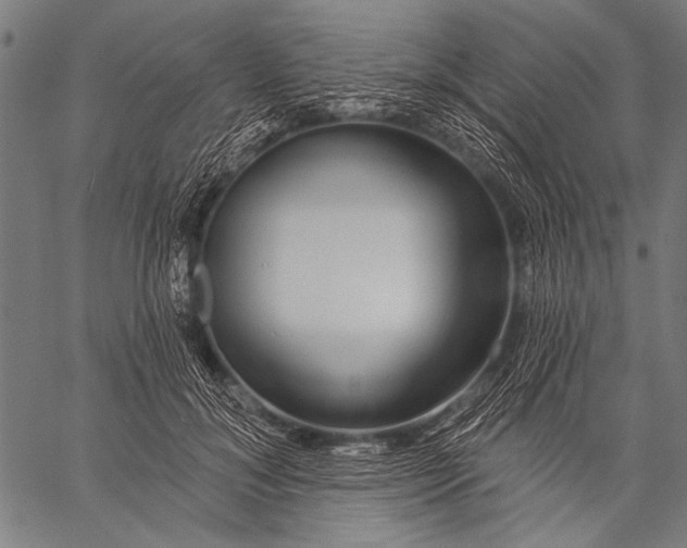 X0000057090700200509301551