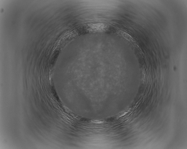 X0000057090701200509301551