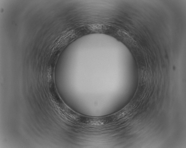 X0000057090702200509301551