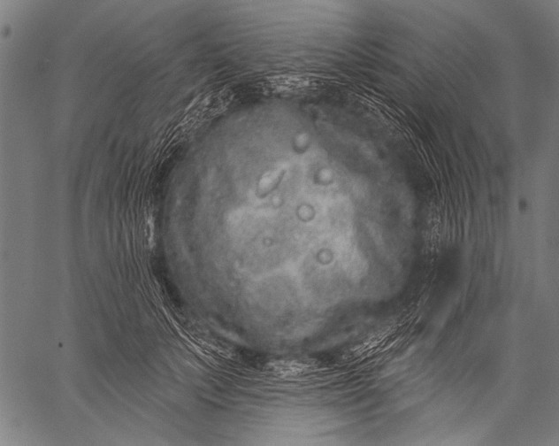 X0000057090703200509301551