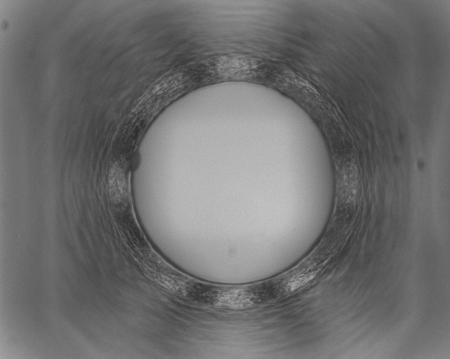 X0000057090705200509301551