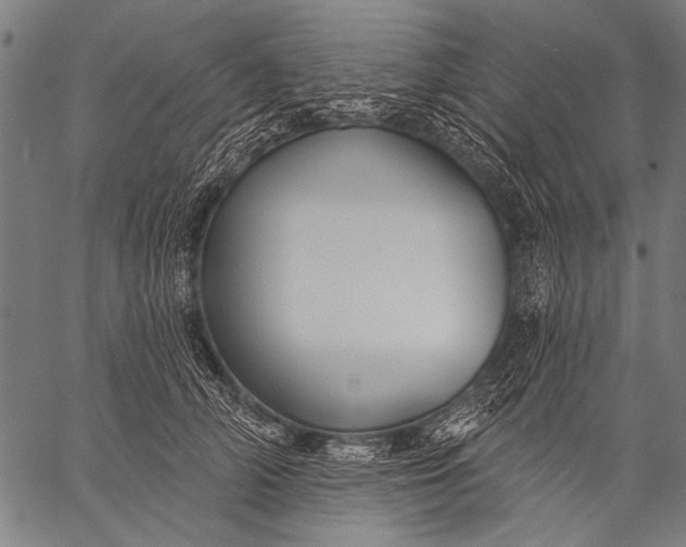 X0000057090706200509301551