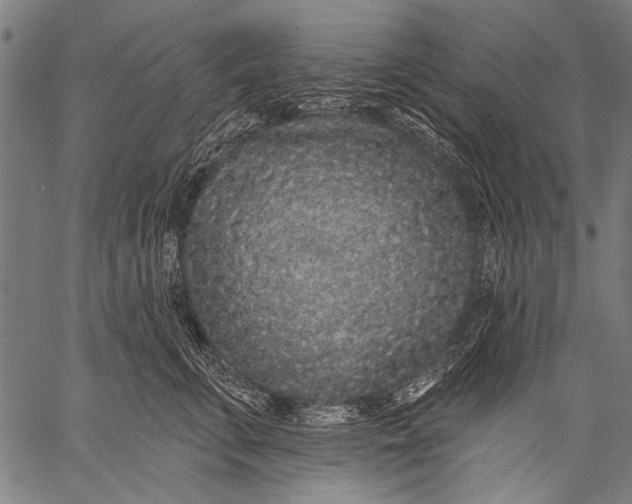 X0000057090711200509301551