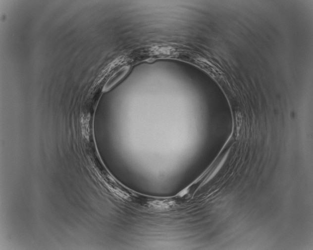 X0000057090712200509301551