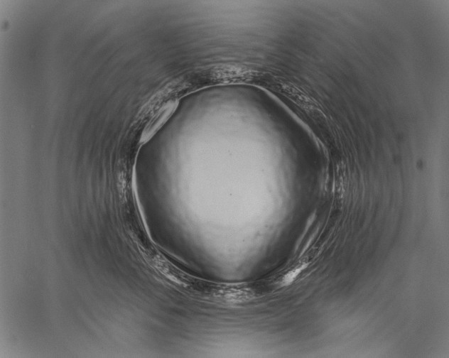 X0000057090716200509301551