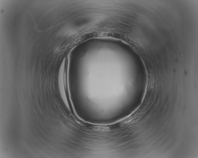 X0000057090719200509301551