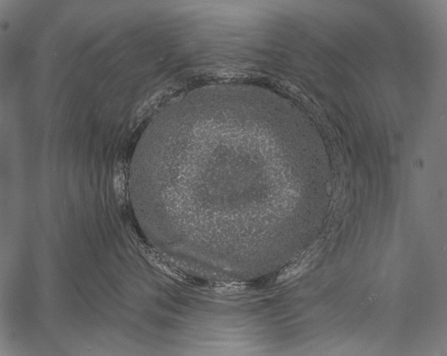 X0000057090720200509301551