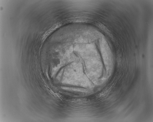 X0000057090721200509301550