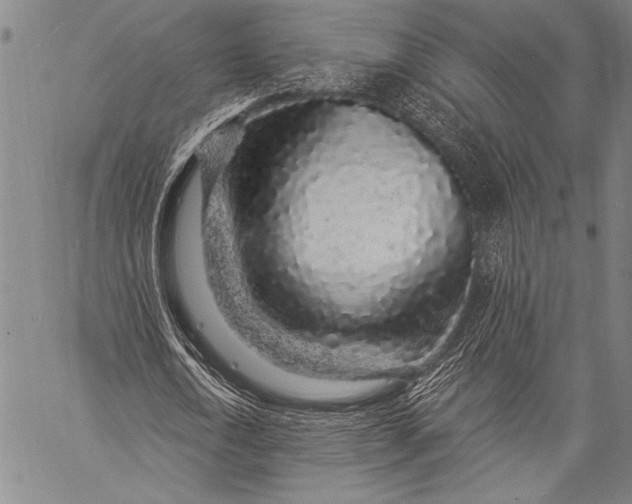 X0000057090722200509301550