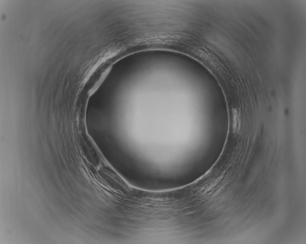 X0000057090723200509301550