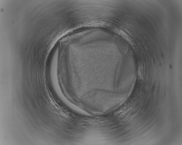 X0000057090724200509301550