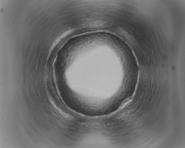 X0000057090726200509301550