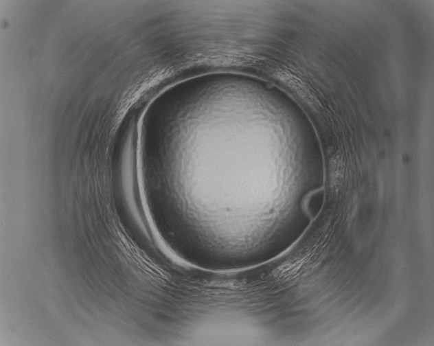 X0000057090727200509301550