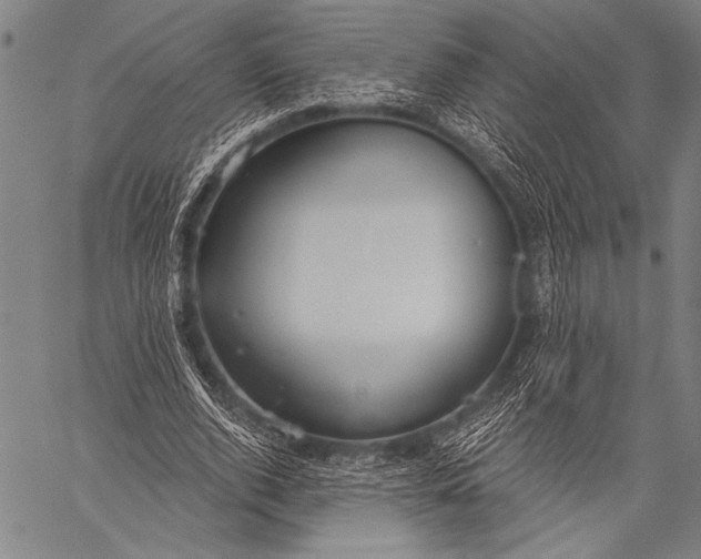 X0000057090728200509301550