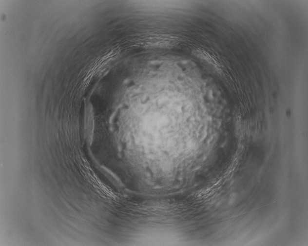 X0000057090729200509301550