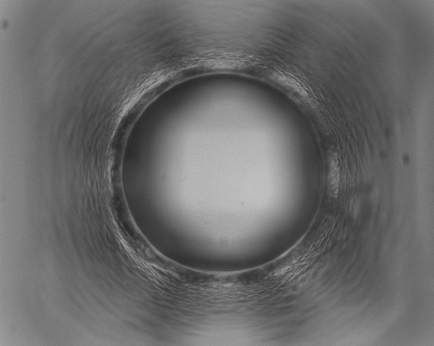 X0000057090730200509301550