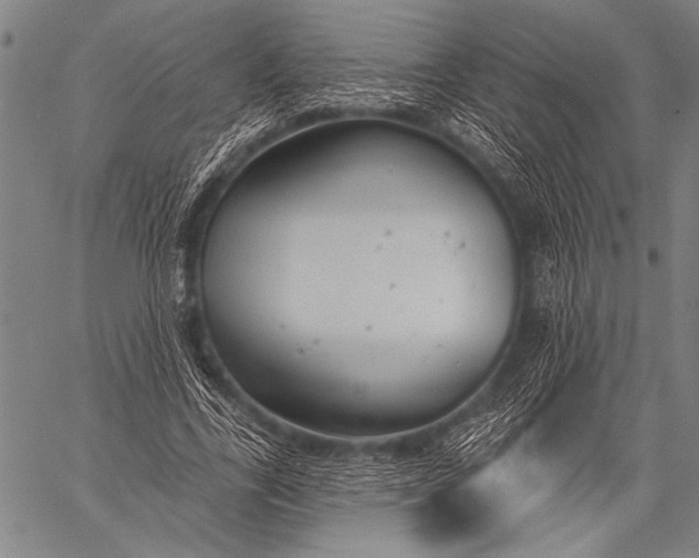 X0000057090731200509301550