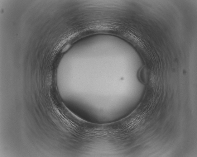 X0000057090732200509301550