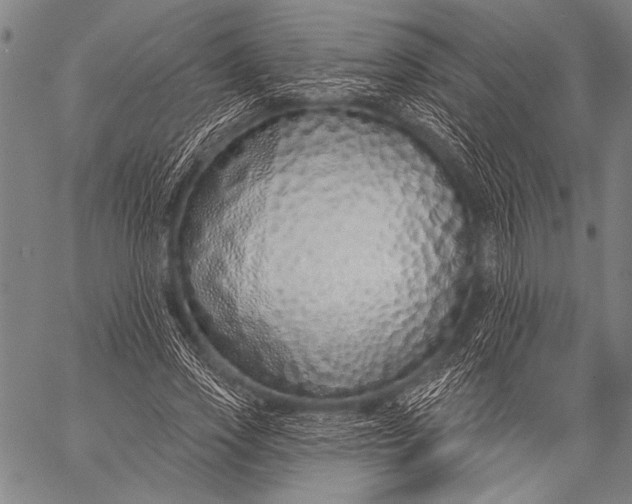 X0000057090733200509301550