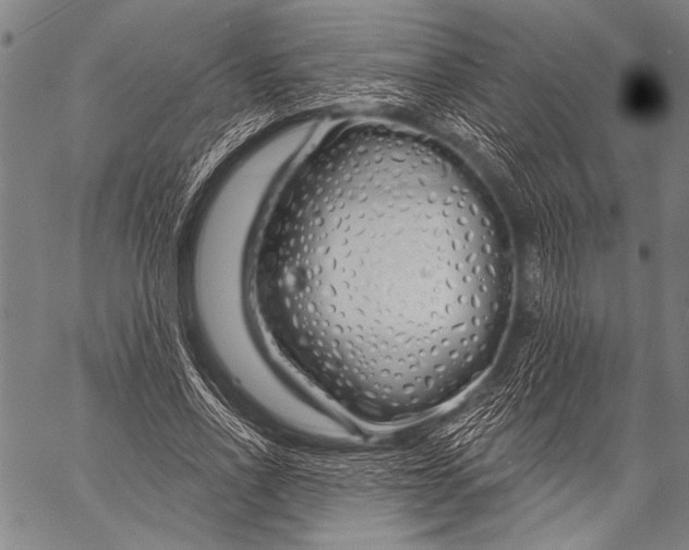 X0000057090734200509301550