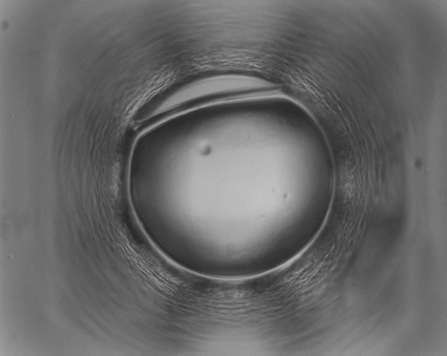 X0000057090735200509301550