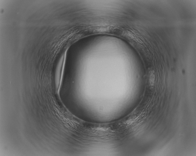 X0000057090737200509301550