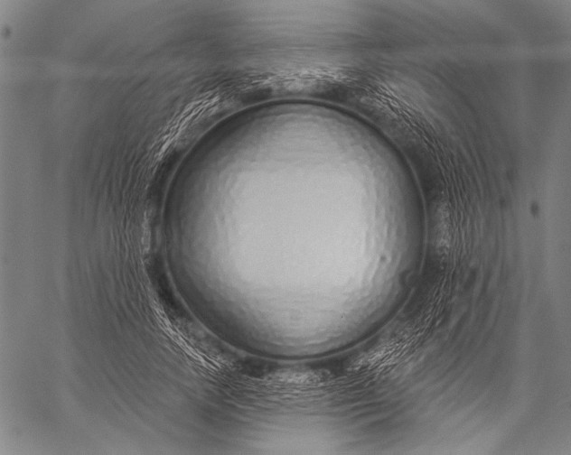 X0000057090738200509301550