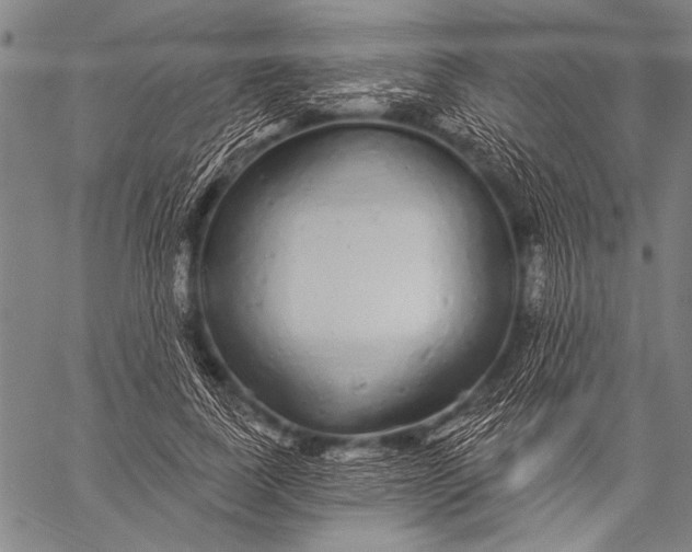 X0000057090739200509301550