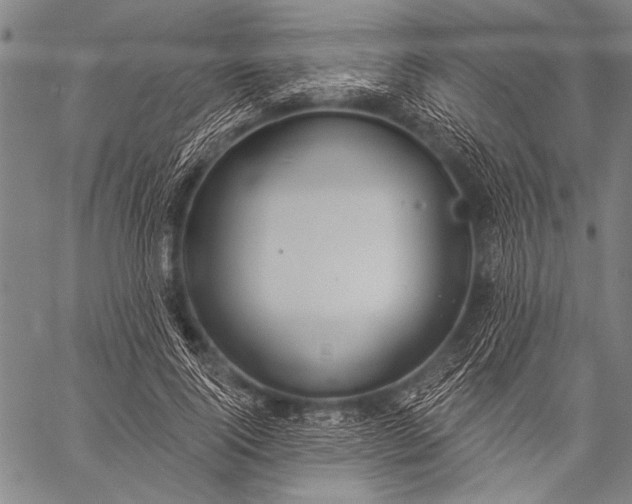 X0000057090740200509301550