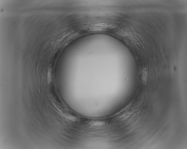 X0000057090741200509301550