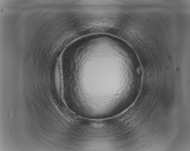 X0000057090742200509301550